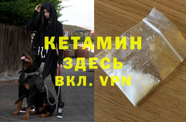 гидра Абаза