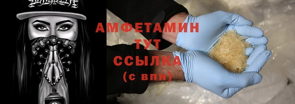гидра Абаза