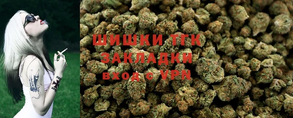 гидра Абаза