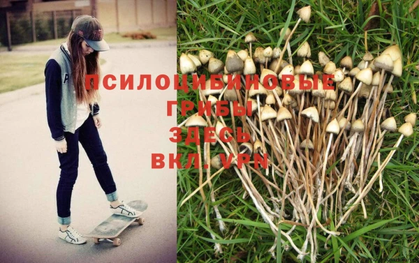 ALPHA-PVP Абдулино