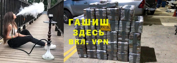 гидра Абаза
