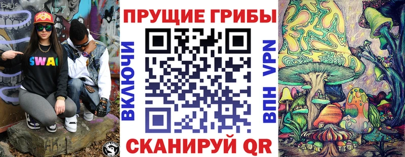 Псилоцибиновые грибы мицелий  блэк спрут ТОР  Вологда 
